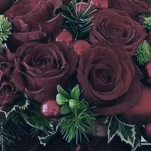 Meet your Posher, Ash